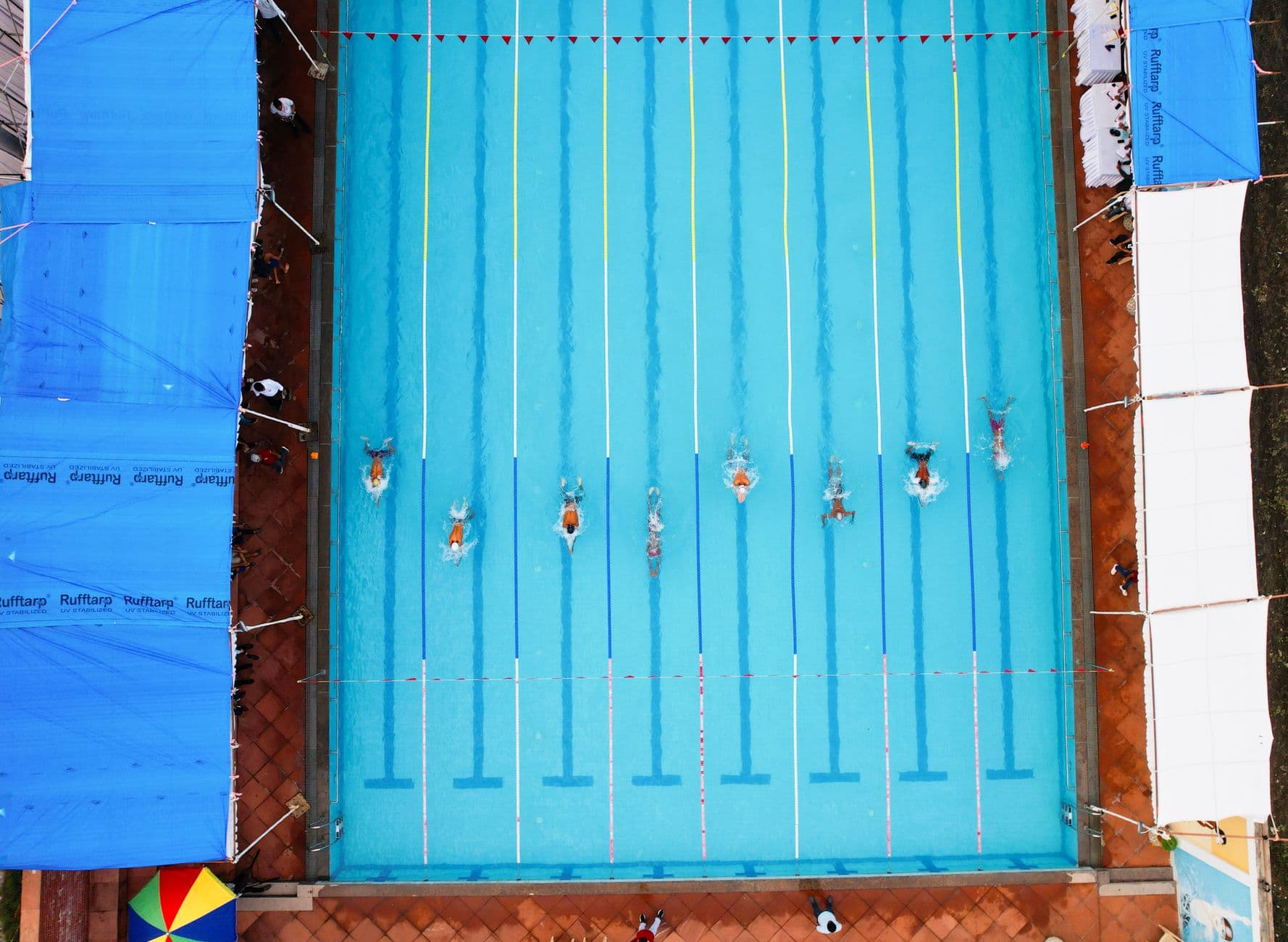 Overhead view of a race in an outdoor 50 m pool, eight swimmers strung out at different points across their lanes